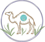 Circle Camel